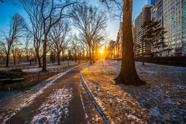 Весенняя улица