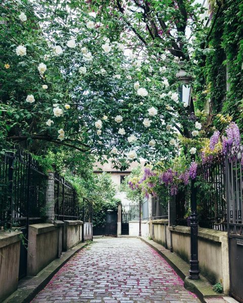 Амстердам улицы парк