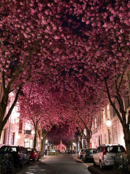 Весна на улице