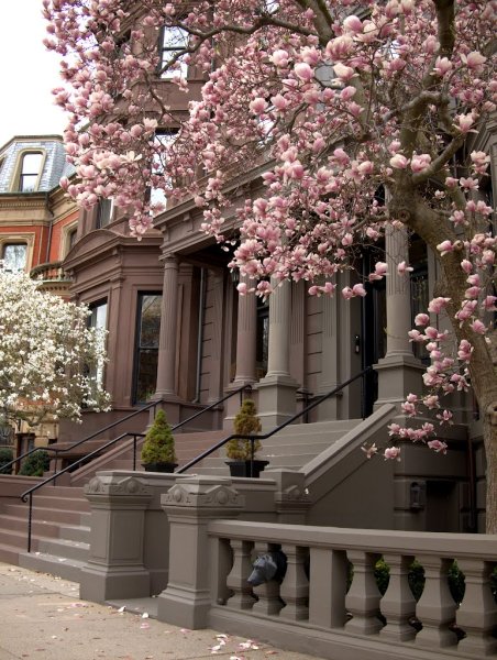 Ванкувер улицы