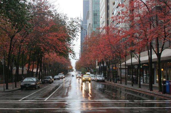 Весна в городе