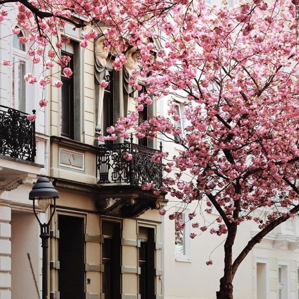 Весна Эстетика город