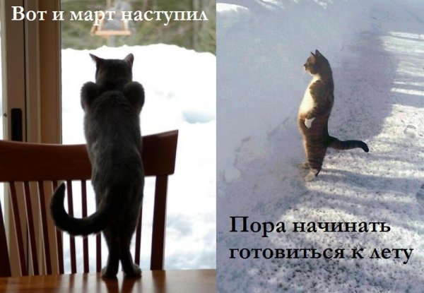 Первый день весны прикол