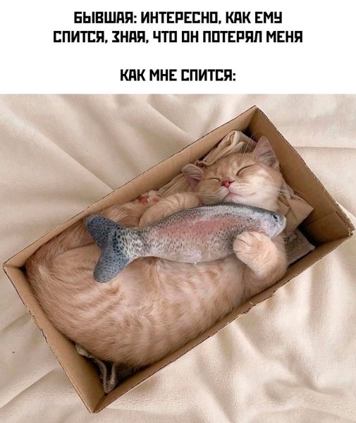 Статусы про весну прикольные