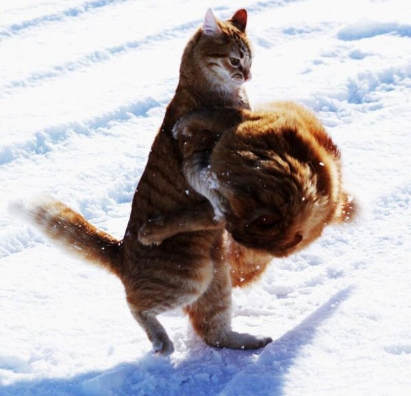 Шутки про весну