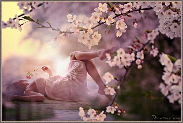 Счастье солнце радость любовь