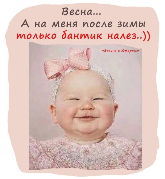 Афоризмы про бантики