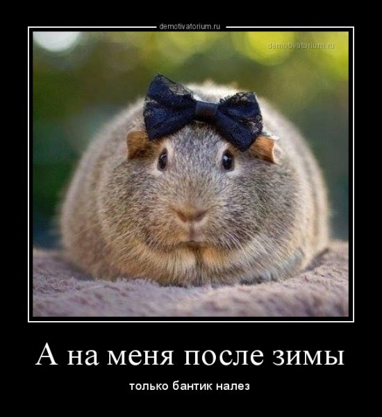 И только бантик не помню где открытка прикольная