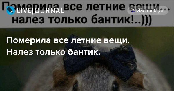 Готовимся к лету юмор