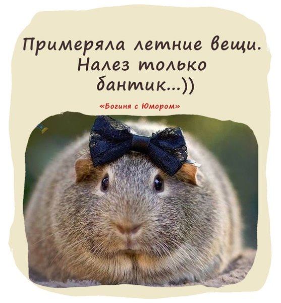 Налез только бантик