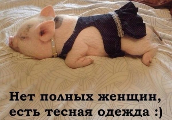 Смешная девочка с бантиком