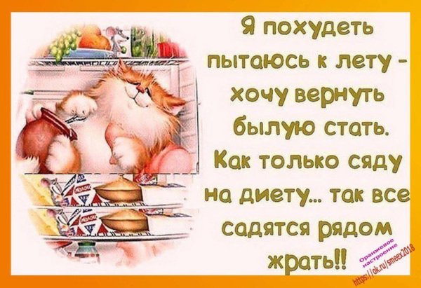 Прикольные картинки про женщин