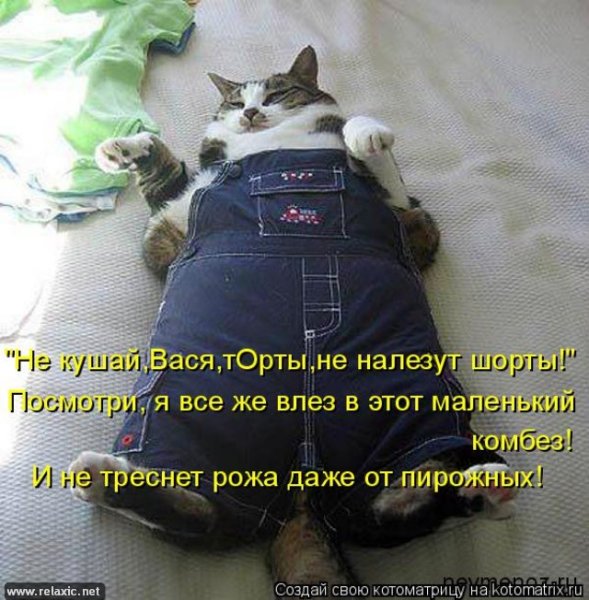 Анекдоты про весну