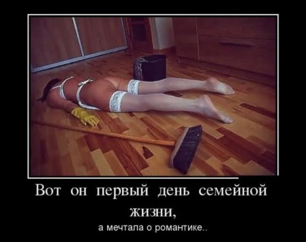 Смотрю в окно и понимаю Весна наступит