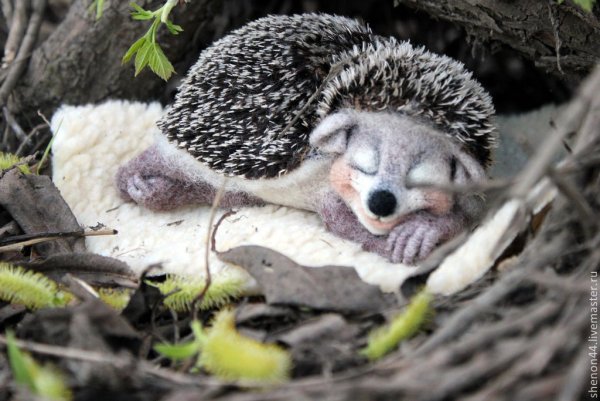 Еж просыпается в воскресенье рисунки