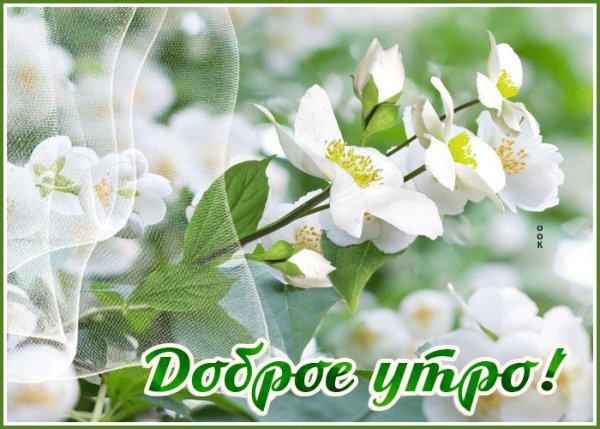 Доброго весеннего воскресного утра и хорошего дня