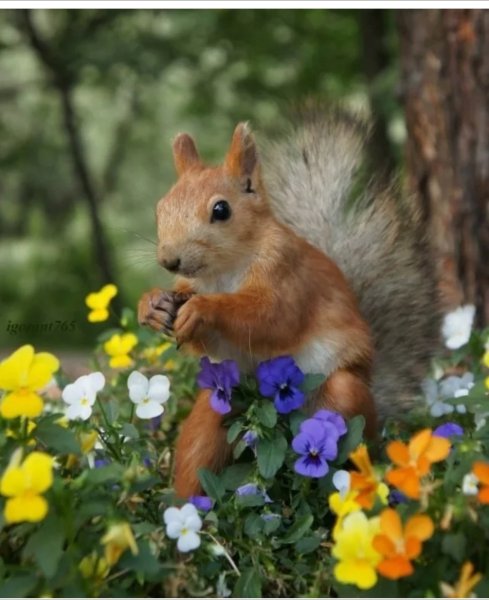 Животные весной