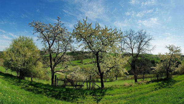 Весна живопись Йохан Кроутен