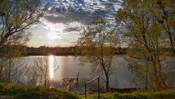 Река Волга береза