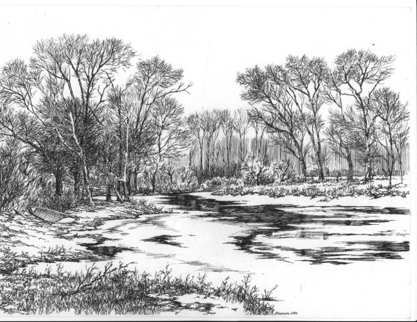 Весенний пейзаж карандашом