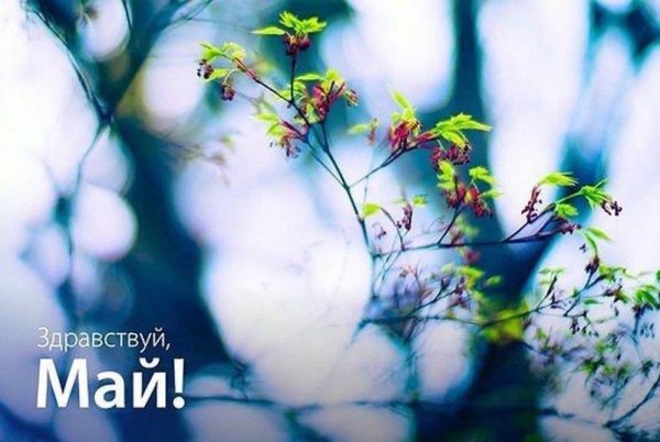 Здравствуй месяц май