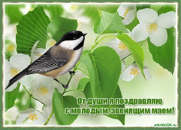 Открытки с 1 мая