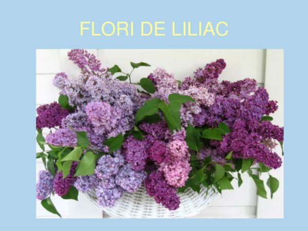 С наступающим 1 мая