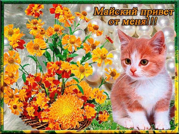 Анимированные открытки привет