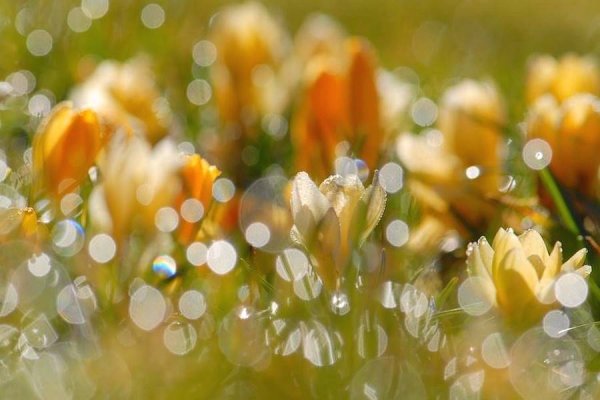 Солнечная девочка