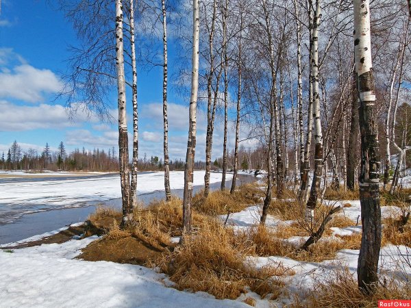 Весенние пейзажи севера