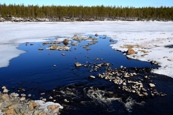 Река Куреньга