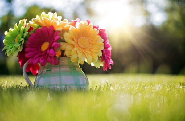 Солнечная девочка рисунок