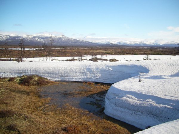 Северная Весна фото