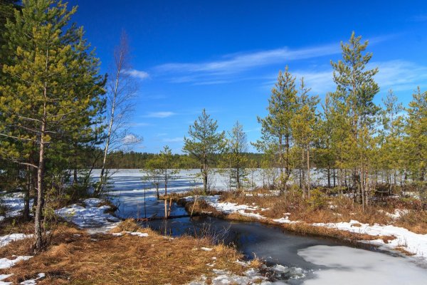 Ликолампи озеро Карелия