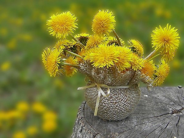 Теплого весеннего настроения