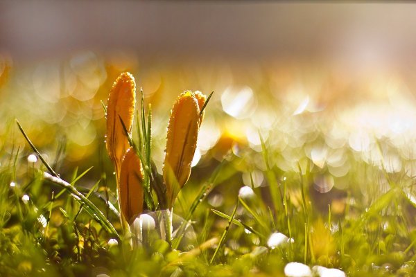 Лето солнце