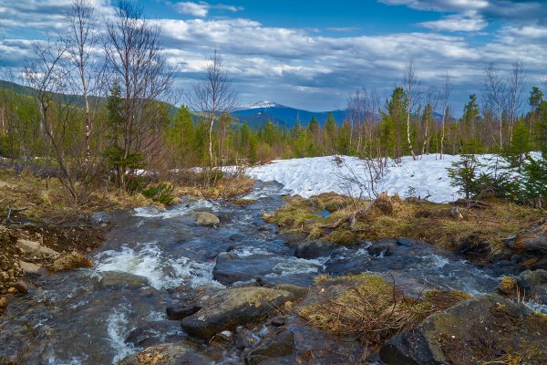 Тундра Норильск лето