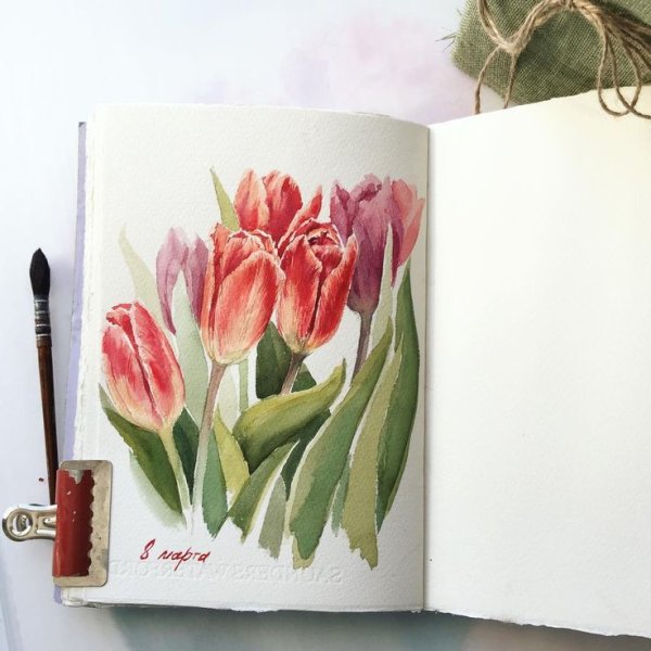 Цветы акварелью для скетчбука