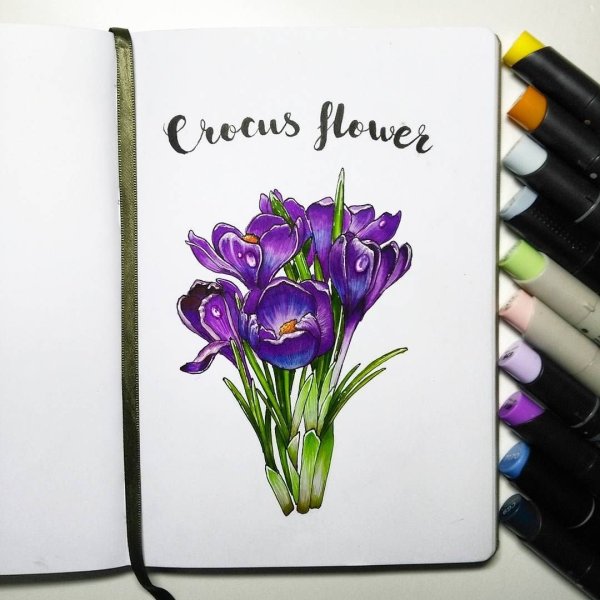 Весенние цветы скетчинг