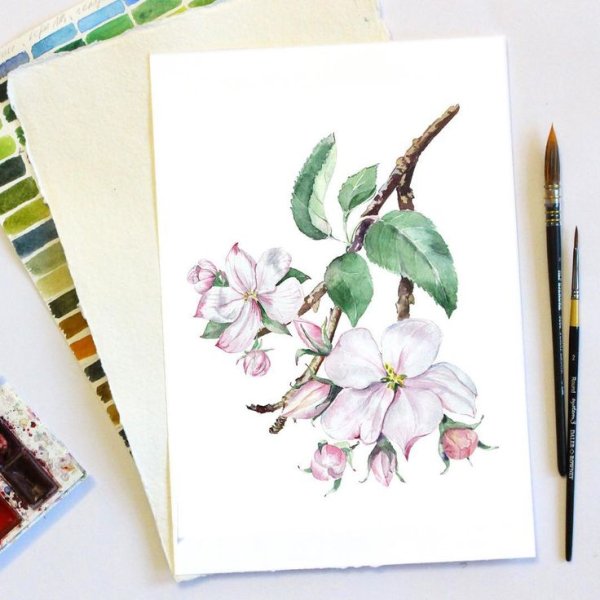 Цветы акварелью скетчбук