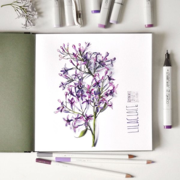 Цветы скетч маркерами