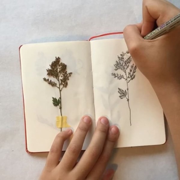 Дерево в скетчбуке