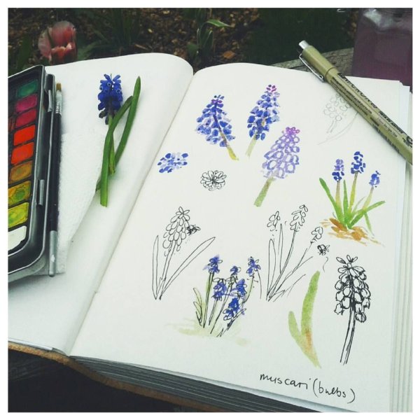 Скетчбук цветы