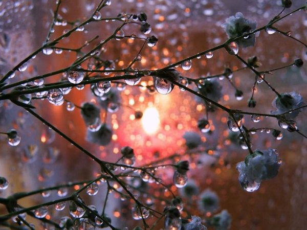 Март капель