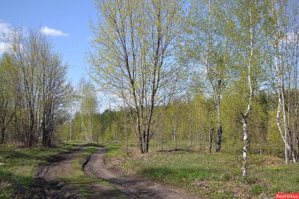 Весна апрель