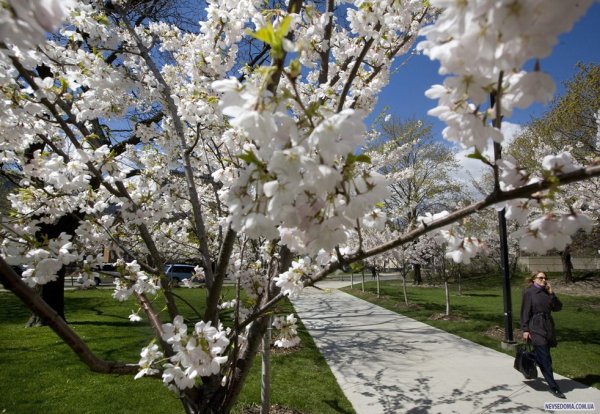 Солнечный весенний день