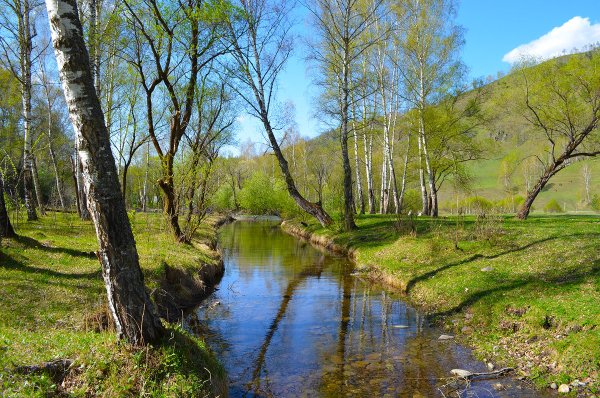 Март первый весенний месяц