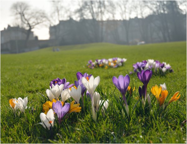 Ранняя Весна в Сибири