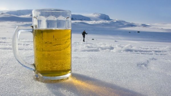 Пиво на природе