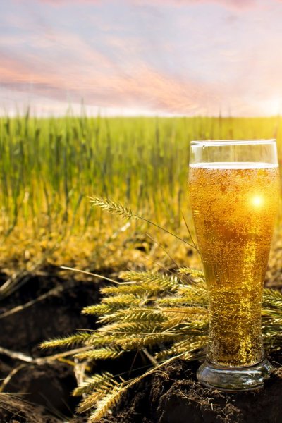 Дружба и пиво прикол